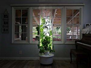 garden tower
